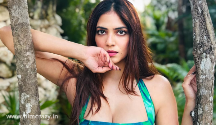 Beauty Malavika Mohanan's Latest Viral Stills